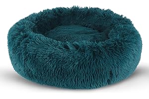 BVAGSS Small Dog Bed,Anti-Anxiety Donut Cuddler Cozy Soft Round Bed,Calming Plush Washable Round Fluffy Pet Cushion Bed for Puppy & Kitten MW002 (16 inch, Cyan)