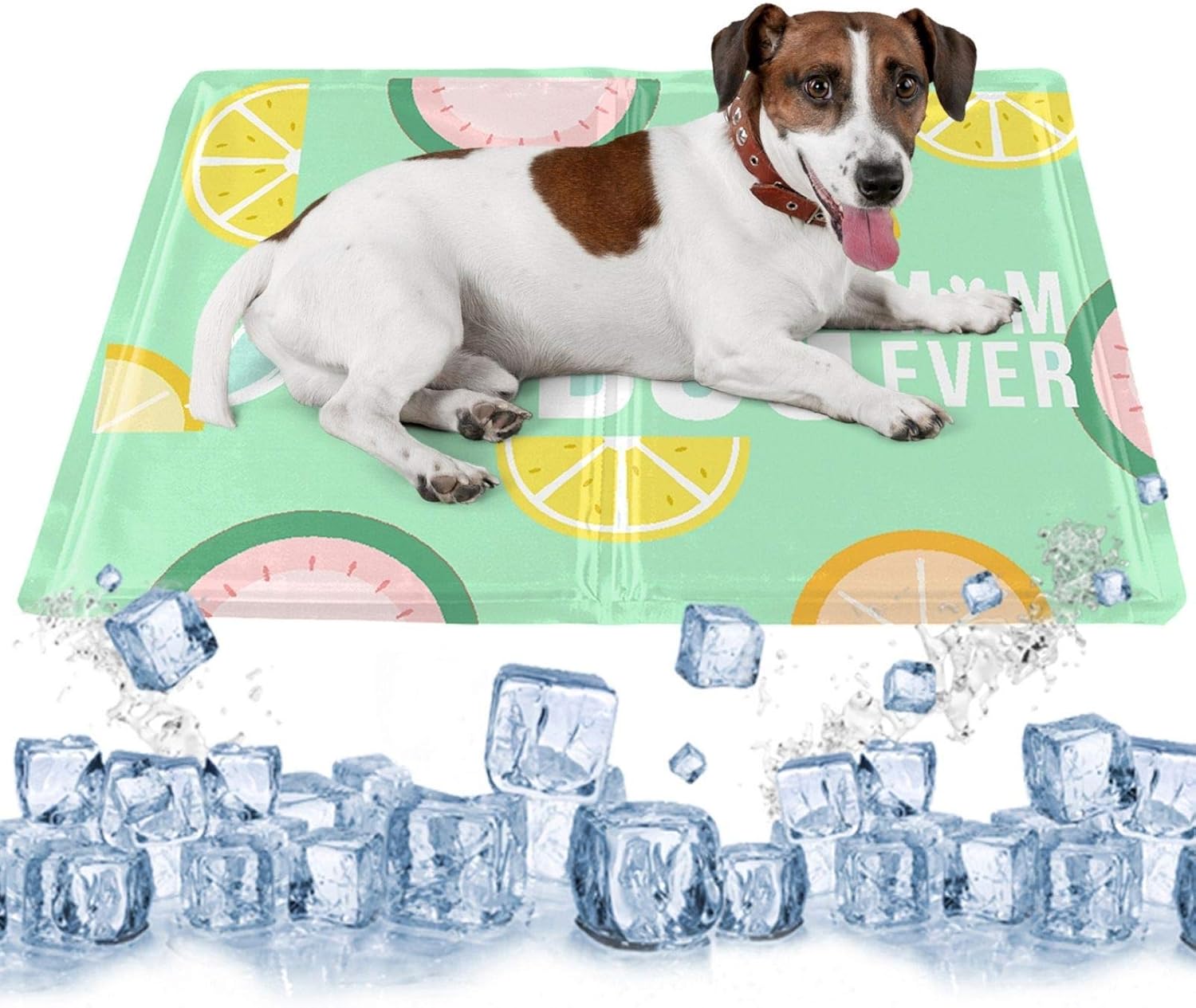 cama perro refrescante