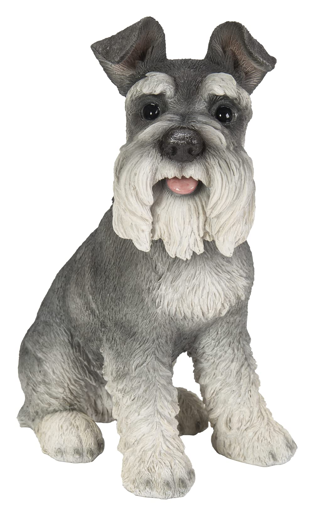 Vivid Arts (Miniature Schnauzer Sitting