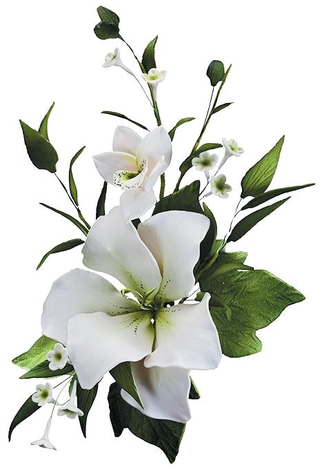Cuisineonly Moyen Bouquet Fleur De Lys Blanc L Unite