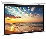 LopBast Screen 100INCH Manual Pull Down White