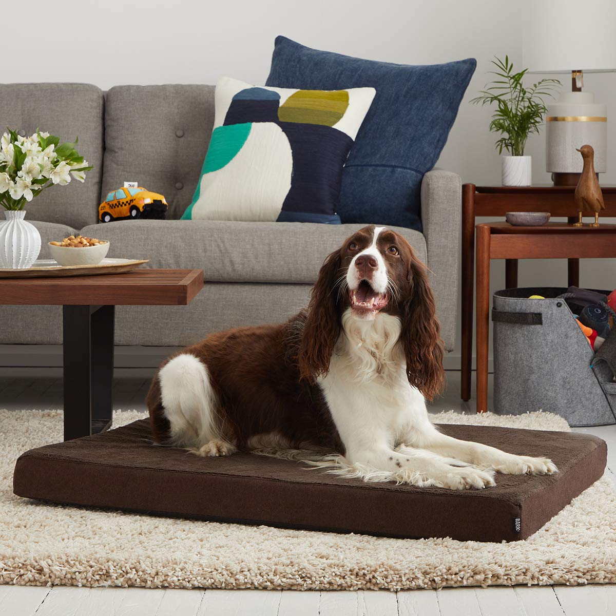 BarkBox Thick Orthopedic Gel Memory Foam Enhanced Dog Bed Removable