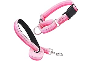 ESGPET Martingale Dog Collar and Leash Set for Walking, Playing, Training, Reflective Adjustable Puppy Collars with Leash for Small Medium Large Dogs (Pink,Medium)
