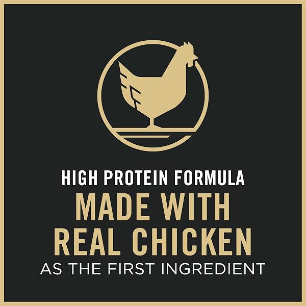 PURINA PRO PLAN HIGH PROTEIN CAT FOOD WITH PROBIOTICS FOR CATS, CHICKEN AND RICE FORMULA – 7 LB. BAG