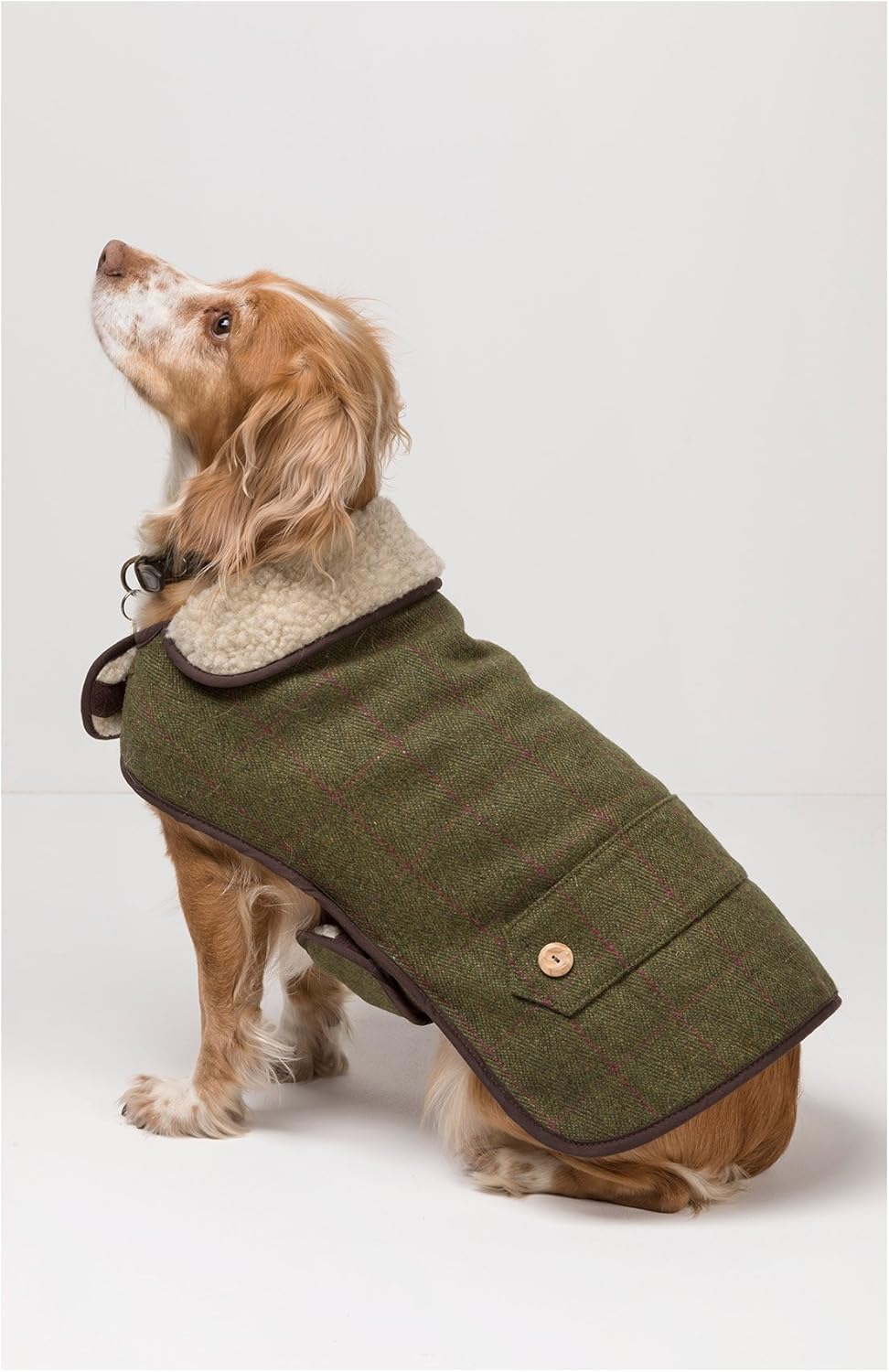 battery operated dog jacket