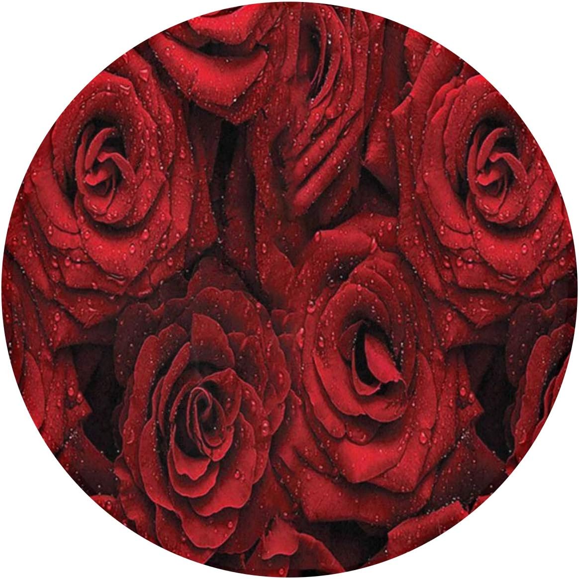 Indoor Doormat Red Roses Round Floor Mat NonSlip Super