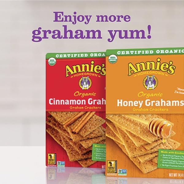 ANNIE’S ORGANIC GRAHAM CRACKERS, CINNAMON, MADE WITH WHOLE GRAIN, 14.4 OZ