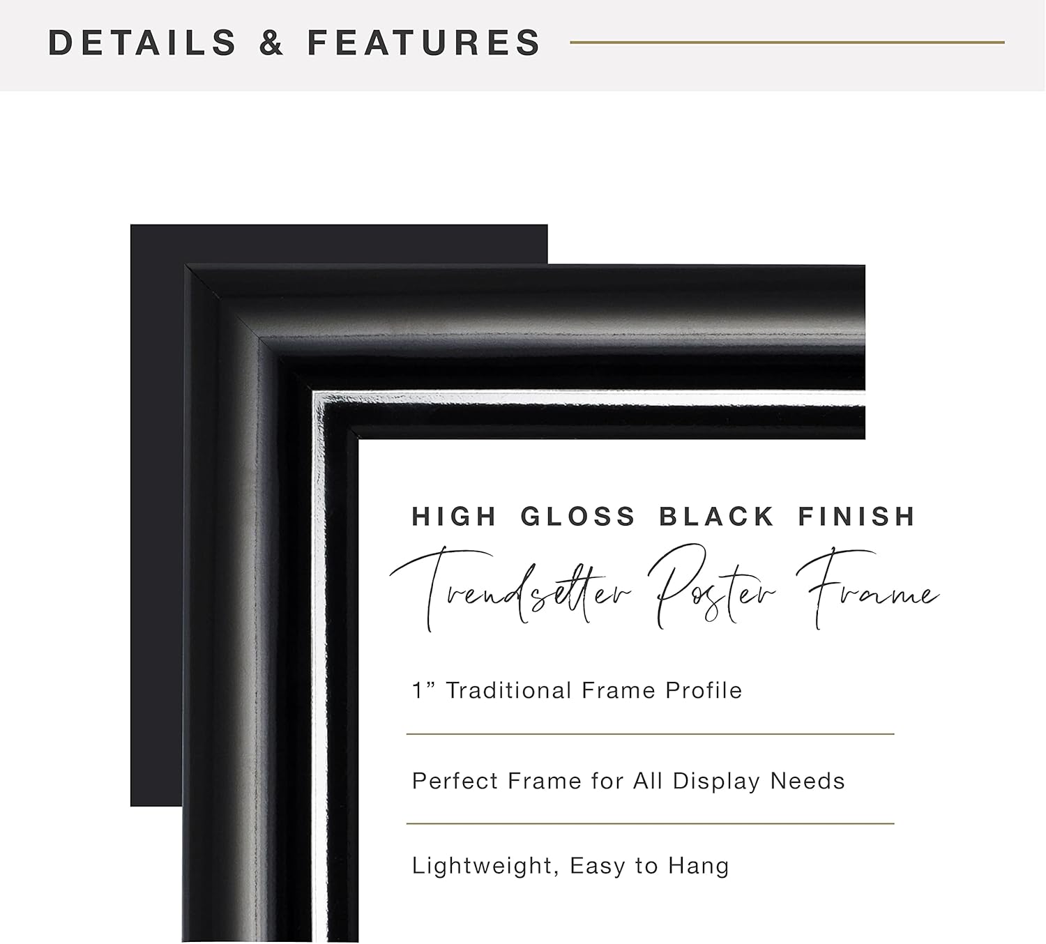 MCS, Black, 18 x 24 Inch Trendsetter Poster Frame, 2-Pack, 18 x 24: Home & Kitchen