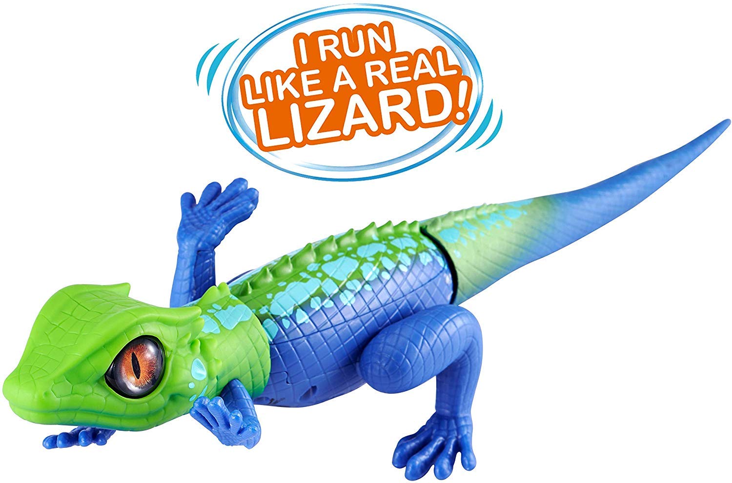zuru lizard