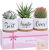 TuDou Best Auntie Ever Ceramic Succulent Pots Gift Set