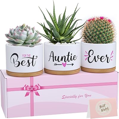 TuDou Best Auntie Ever Ceramic Succulent Pots Gift Set