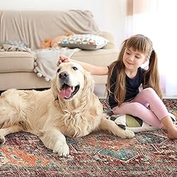 Yamaziot Washable Area Rug, 4x6 Non-Slip Boho