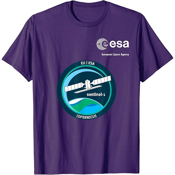 Amazon.com: ESA European Space Agency Mission sentinel-1 Patch T
