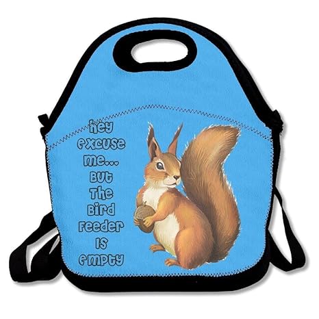 Amazon Com The Birdfeeder Is Empty Funny Squirrel Lunch Bag Lunch