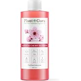 Japanese Cherry Blossom Fragrance Oil 4 fl. oz. Scented Oil for DIY Soap Making, Candles, Bath Bombs, Body Butters. Used in Aromatherapy Diffusers, Burners and Warmers. Add to Lotions and Creams.