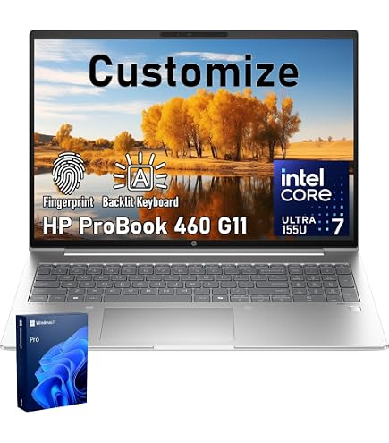 Amazon.com: HP ProBook 460 G11 16