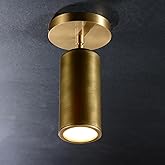 JimmyRaiden Cameron Adjustable Brass Ceilling Spotlight, Dimmable Directional Brass Wall Lighting Fixtures