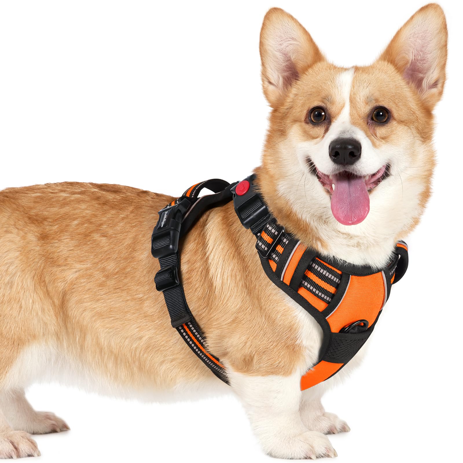 rabbitgoo Small Dog Harness with Neck Release Buckle, Adjustable Soft Padded Puppy Pet Vest, Reflective No Pull Dog Harness, Orange, S — image 1