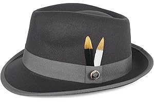 FADACHY Fedora Hats for Men & Women Short Brim Felt hat Trilby Fedora with Feather Panama Dress Hat