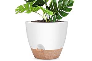 YNNICO 12 Inch Large Self Watering Plant Pot Set, Flower Pots with Multi-Mesh Drainage Holes and Saucer, Suitable for Indoor and Outdoor Garden Plants, White.