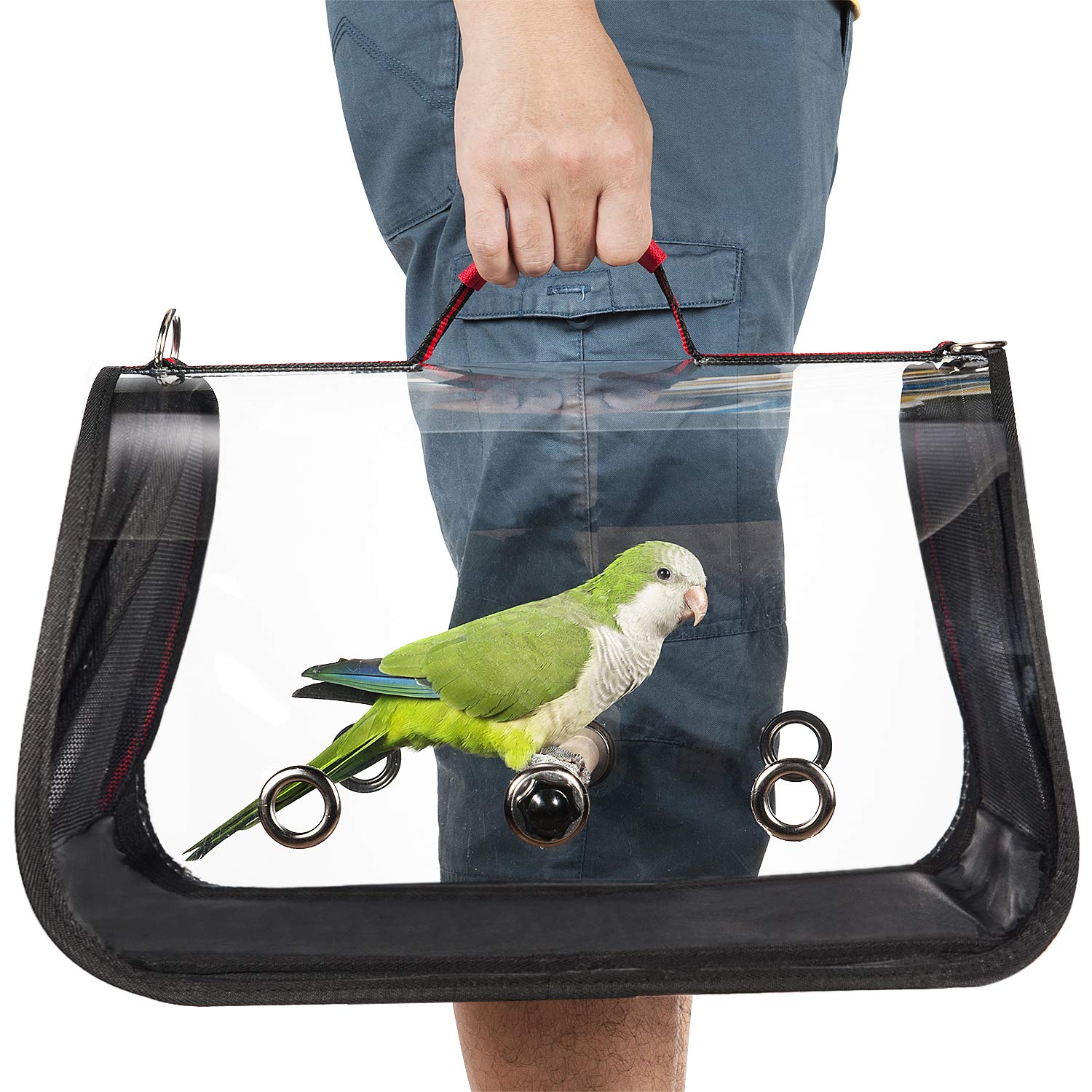 Colorday Lightweight Bird Carrier, Bird Travel cage Parrot (Medium 16 x 9 x 11, Red) Patent Pending
