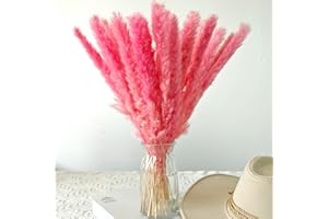 EEAIVNM 30PCS Small Pampas Grass Dried Flowers Dried Natural Floral Arrangement Decoration Reed Dried Grass,Eternal Flower Pampas Reed Dried Grass Used for Home,Wedding,Party,Flower Bouquet,Photo (Pink)