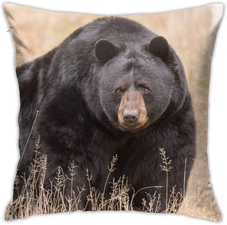 Amazon 大きな黒い熊の装飾スロー枕なしクッションホームソファソファベッドルームカーチェアハウスパーティー屋内屋外 45x45 Cm 寝具カバー シーツ オンライン通販