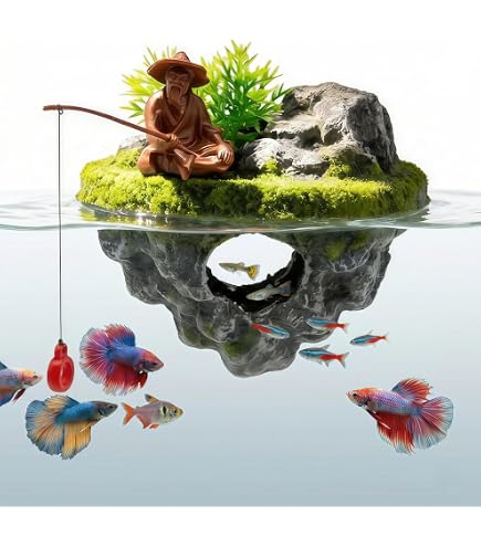 bass fishing rod and reel selection Selecting Rods and Reels