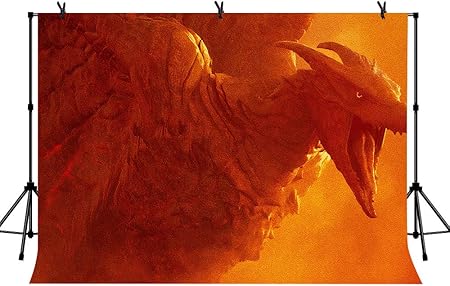 Amazon Lylylycty 7 X 5フィート 鳥 モンスター ゴジラ 背景 ゴジラ モンスターの王 2 For The Monster テーマ パーティー装飾 小道具 男の子 インテリア ゲーム 壁紙 背景小道具 Lyzy0690 バックペーパー 背景布 通販