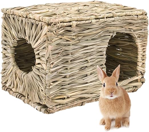 guinea pig edible house