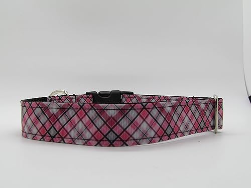 burberry dog collar amazon
