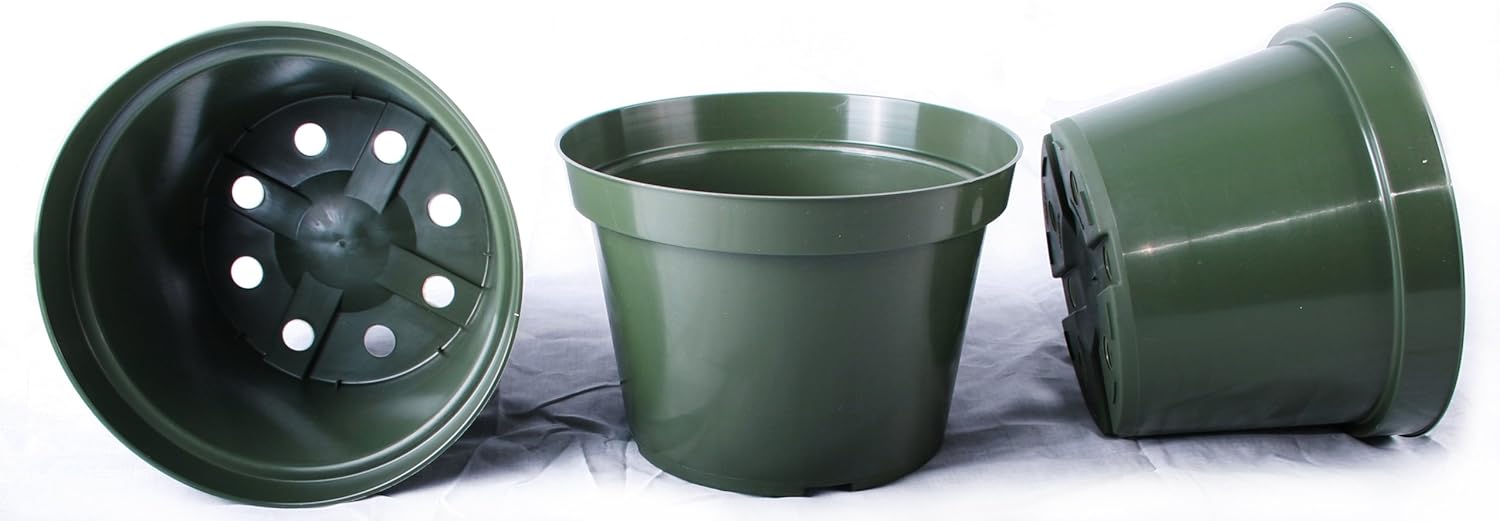 The 10 African Violet Pots (Reviews & Guide) of 2023