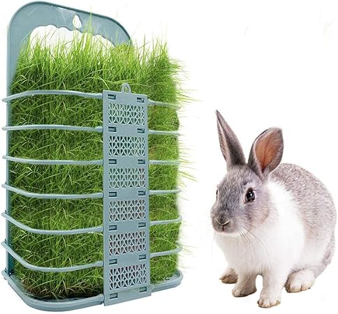 rabbit hay amazon