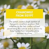 Klorane Blond Highlights Shampoo Chamomile 400ml for Blonde & Highlighted Hair view 4