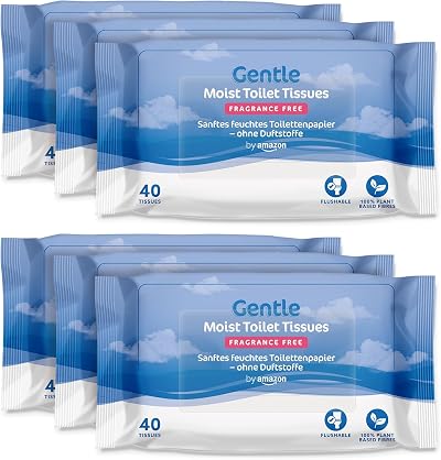 by Amazon Gentle Moist Toilet Tissues Unscented 240 Count 6 Packs