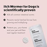 Itch Vet Approved Medium Dog Flea Tick Treatment & Wormer Bundle 10-20kg view 6