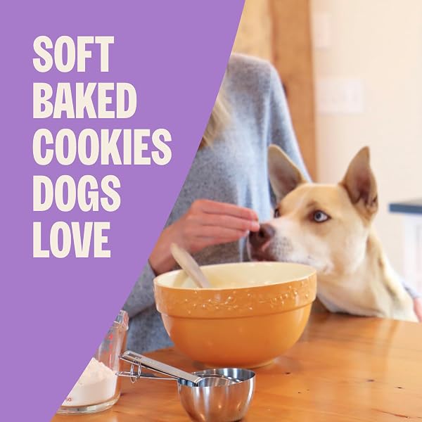 WELLNESS OLD MOTHER HUBBARD WHOLESOME INDULGENCES SOFT-BAKED DOG BISCUITS, NATURAL TREATS, PEANUT BUTTER AND BANANA FLAVOR, 10 OZ BAG