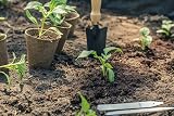 Britten & James Biodegradable 8cm Seed Pots 100pk + 20 Wooden Labels view 2