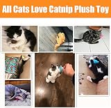 Speedy Panther 12 Pcs Cat Toys Indoor Plush Catnip Teaser Wand Spring Kit view 4
