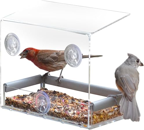 Amazon Com Petfusion Tranquility Window Bird Feeder In Premium