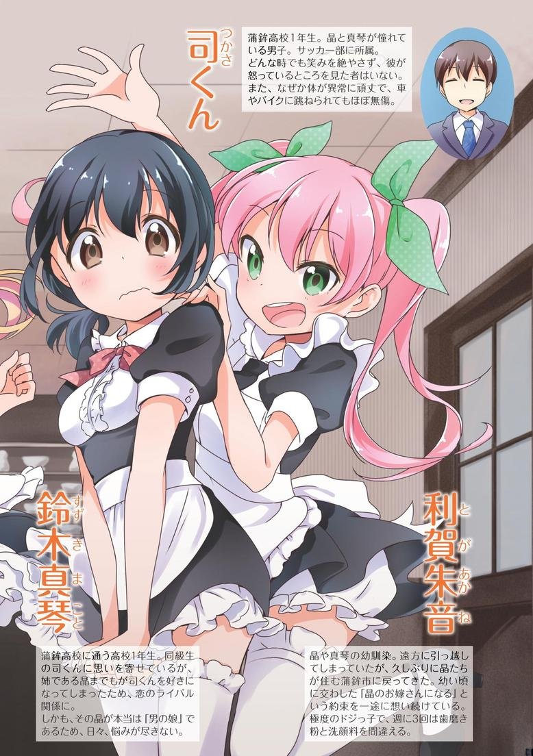 兄がライバル 2 マイクロマガジン コミックス 宮月もそこ かさまひろゆき 本 通販 Amazon