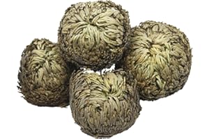 FAICOIA 4 Pack Rose of Jericho Resurrection Plants Rosa de Jerico Original Dried Flowers Fern Scale Leaf Prayer Plants for Spiritual Purification Home Decor Vase Filler ldeal Present for Plant Lovers