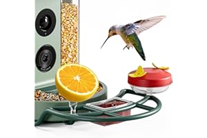 Kiwibit Beako™ Complete Bird Feeder Kit DIY Add-Ons Including Mini Hummingbird Feeder, 2 Fruit Holders, Jelly Feeder, Compati