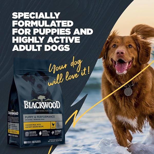 BLACKWOOD PUPPY & PERFORMANCE DRY DOG FOOD, CHICKEN MEAL WITH ANCIENT GRAINS, 4.5 POUND BAG FOR GROWING & WORKING DOGS, SUPPORTS ACTIVE LIFESTYLE