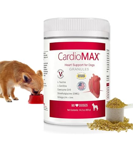 is acetyl-l-carnitine and l-carnitine the same thing Acetyl L-Carnitine