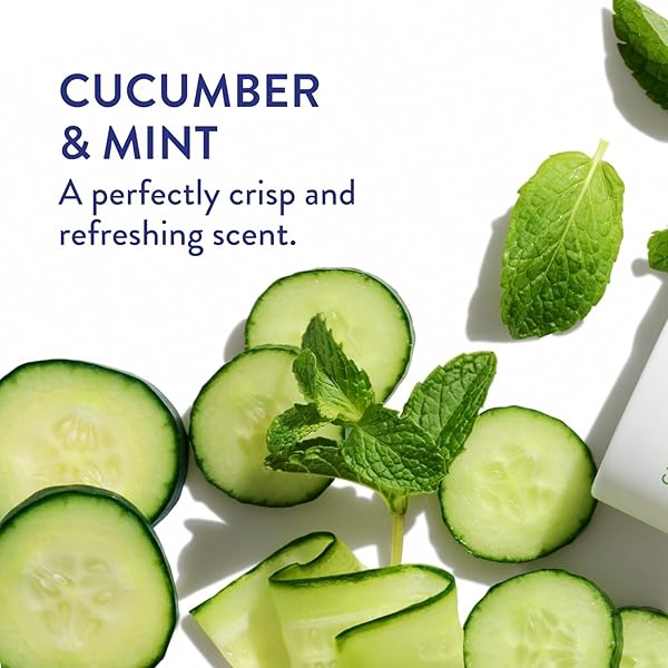 NATIVE PLASTIC FREE DEODORANT CONTAINS NATURALLY DERIVED INGREDIENTS, 72 HOUR ODOR CONTROL | DEODORANT FOR WOMEN AND MEN, ALUMINUM FREE WITH BAKING SODA, COCONUT OIL AND SHEA BUTTER | CUCUMBER & MINT