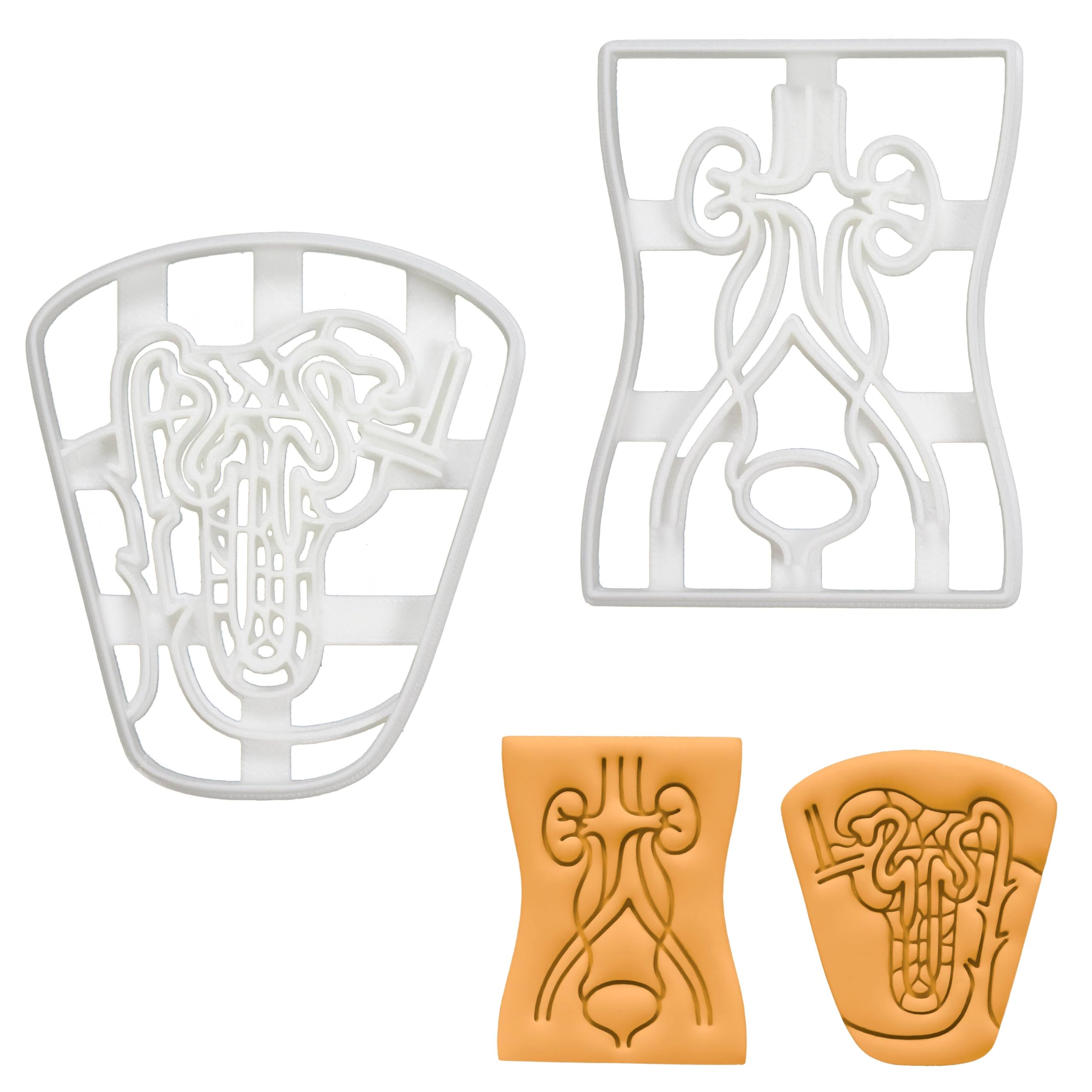BAKERLOGY Set of 2 Cookie Cutters (Designs: Nephron & Urinary System) - Detailed Biscuit Cutter Design for Baking and Crafts, Ideal on Fondant, Dough, Clay