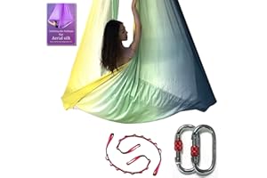 DASKING Deluxe 5m/set Yoga Swing Aerial Yoga Hammock kit with Daisy Chains O-ring, Fabric & Guide