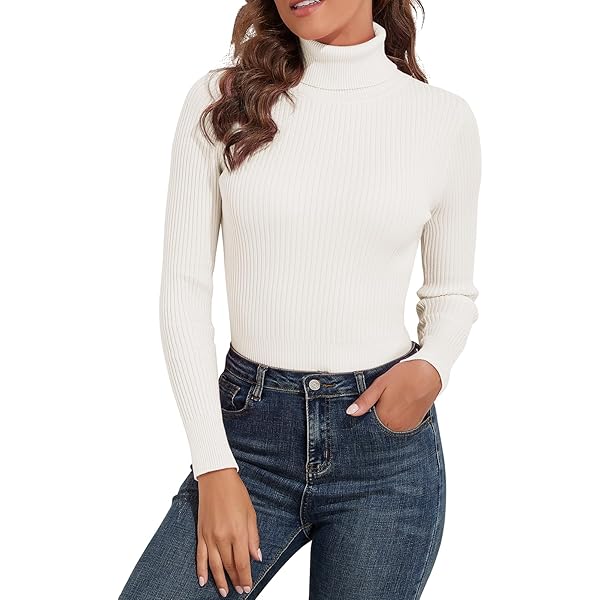 Suéter Pullover Long Sleeve Solid Johnny Collar Pullover