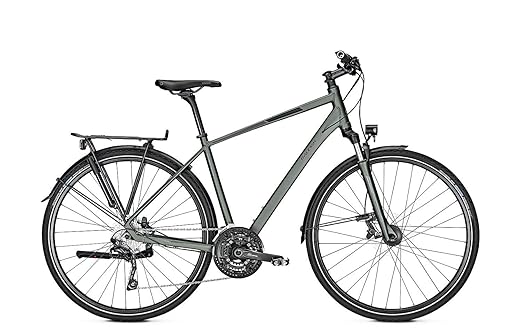 RALEIGH RUSHHOUR 6.0, 30 Gang, Herrenfahrrad, Diamant, Modell 2019, 28 Zoll, cumberlandgrey matt, 50 cm